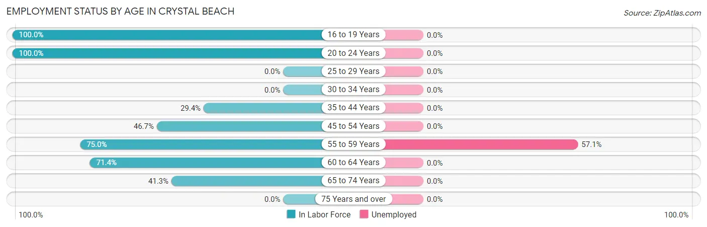 Employment Status by Age in Crystal Beach