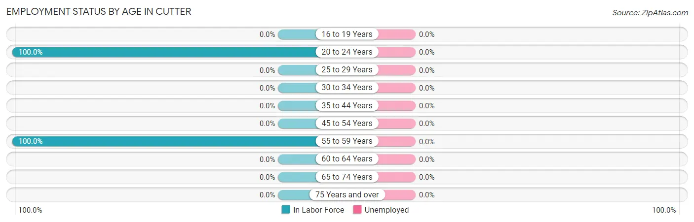 Employment Status by Age in Cutter