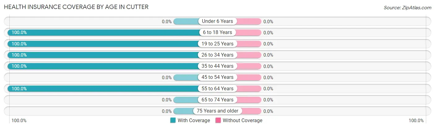 Health Insurance Coverage by Age in Cutter