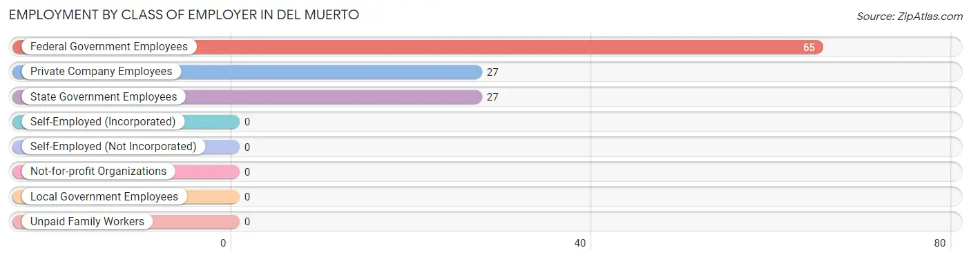 Employment by Class of Employer in Del Muerto