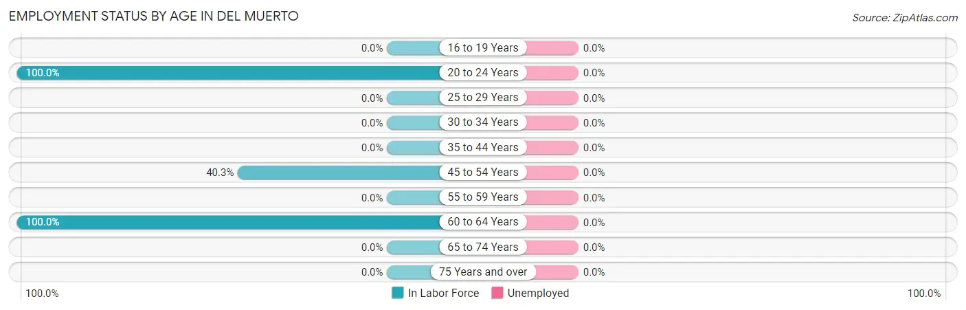 Employment Status by Age in Del Muerto