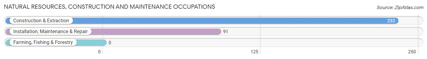 Natural Resources, Construction and Maintenance Occupations in Dewey Humboldt