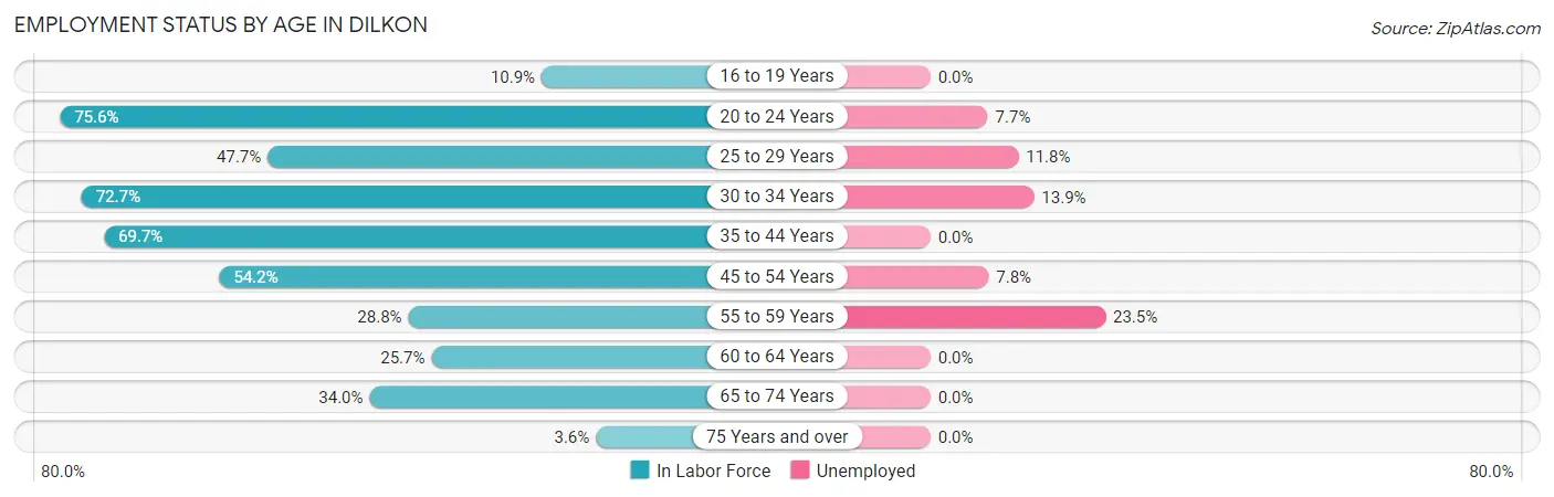 Employment Status by Age in Dilkon
