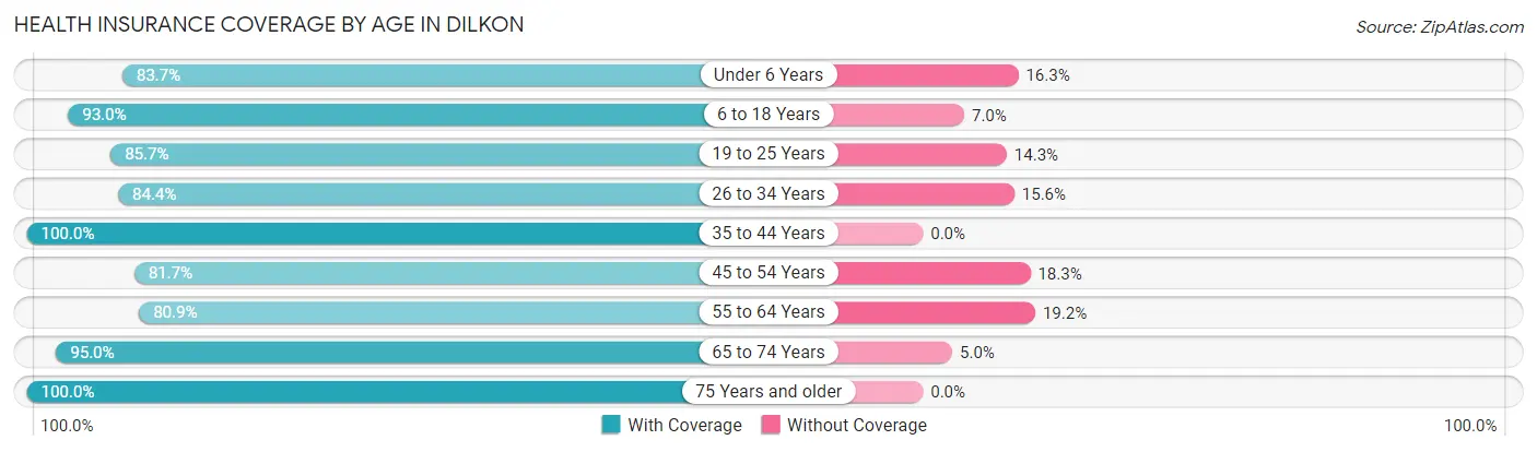 Health Insurance Coverage by Age in Dilkon