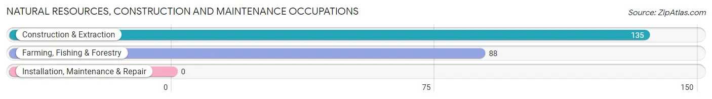 Natural Resources, Construction and Maintenance Occupations in Ehrenberg