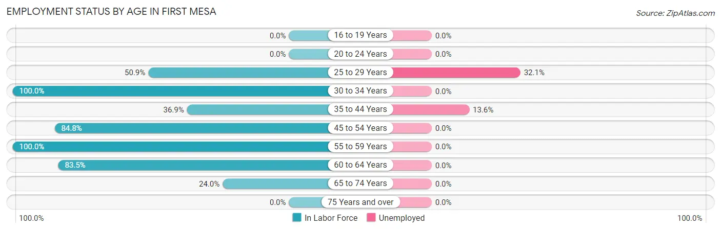 Employment Status by Age in First Mesa