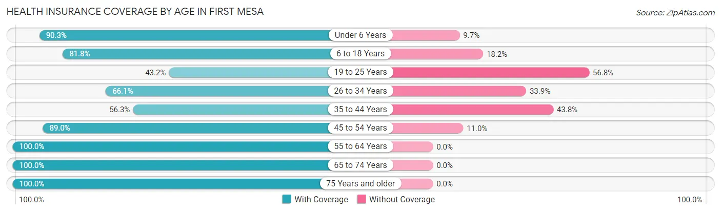 Health Insurance Coverage by Age in First Mesa