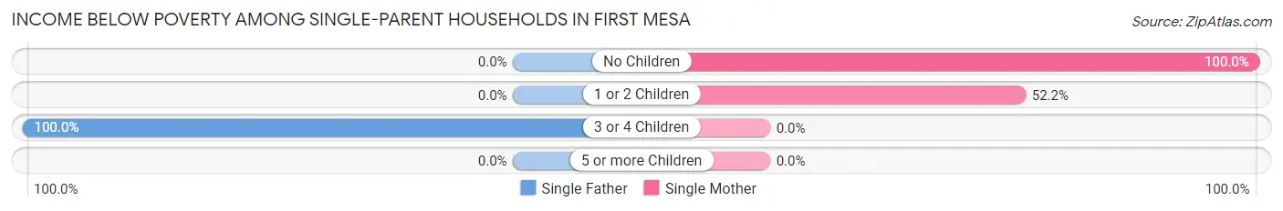 Income Below Poverty Among Single-Parent Households in First Mesa