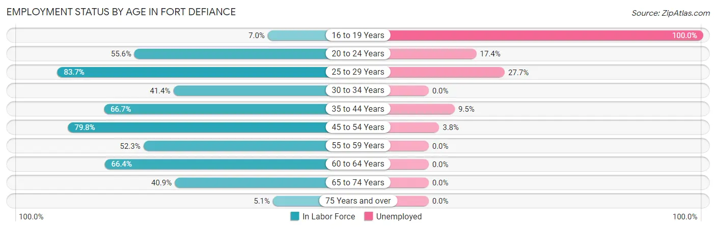 Employment Status by Age in Fort Defiance