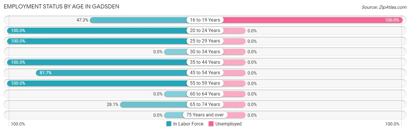 Employment Status by Age in Gadsden