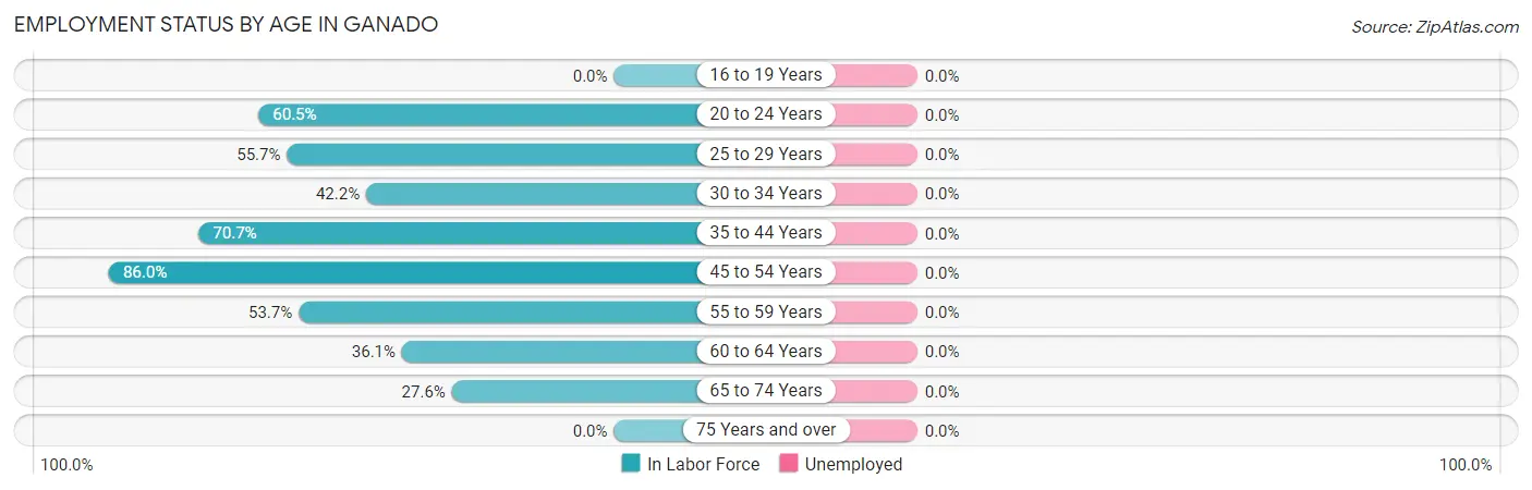 Employment Status by Age in Ganado