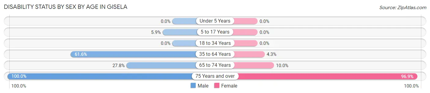 Disability Status by Sex by Age in Gisela