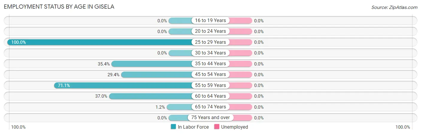 Employment Status by Age in Gisela