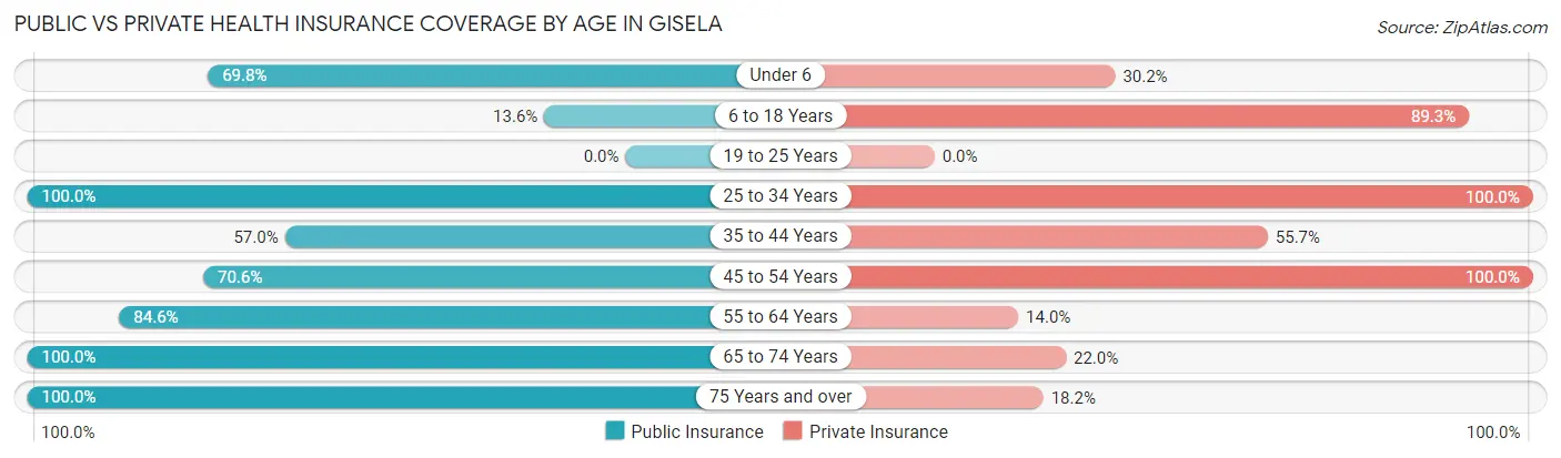 Public vs Private Health Insurance Coverage by Age in Gisela