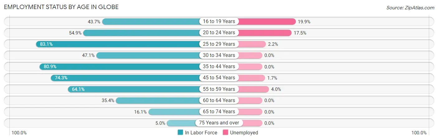 Employment Status by Age in Globe