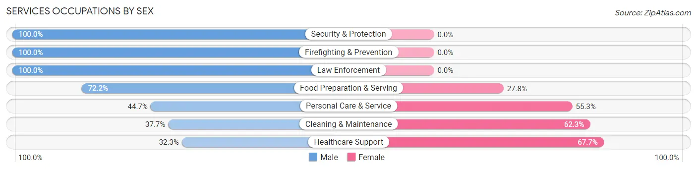 Services Occupations by Sex in Globe
