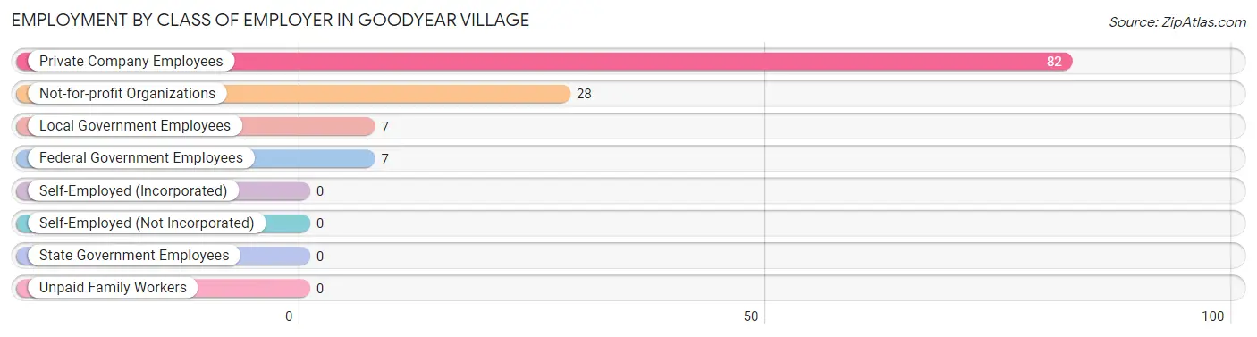 Employment by Class of Employer in Goodyear Village