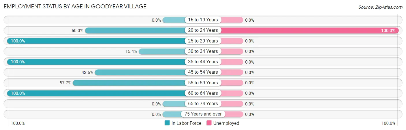 Employment Status by Age in Goodyear Village