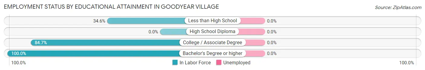 Employment Status by Educational Attainment in Goodyear Village