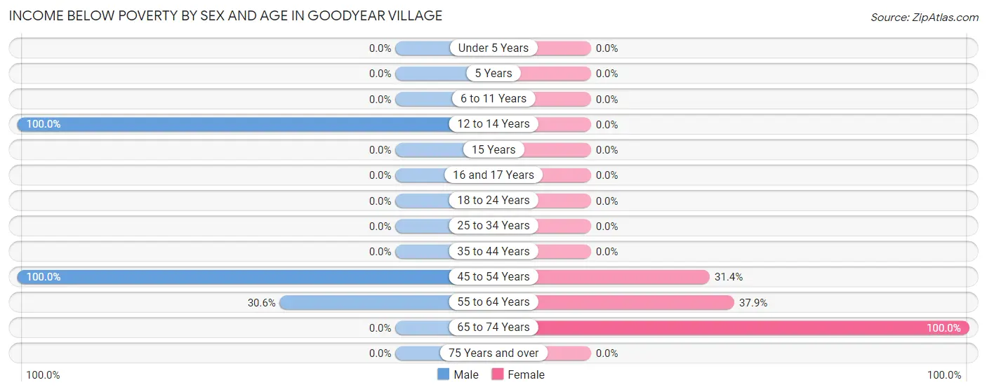 Income Below Poverty by Sex and Age in Goodyear Village