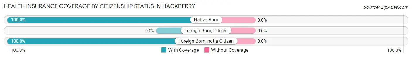 Health Insurance Coverage by Citizenship Status in Hackberry