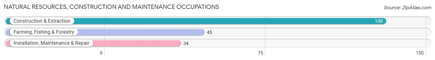 Natural Resources, Construction and Maintenance Occupations in Holbrook