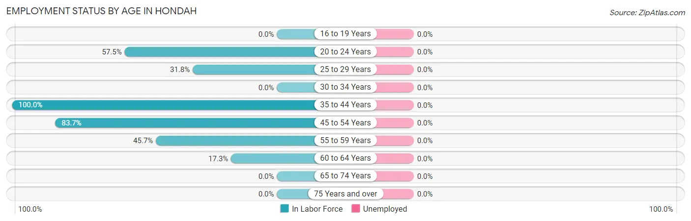 Employment Status by Age in Hondah