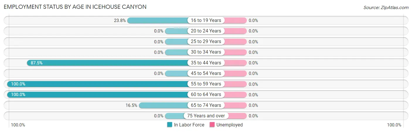 Employment Status by Age in Icehouse Canyon