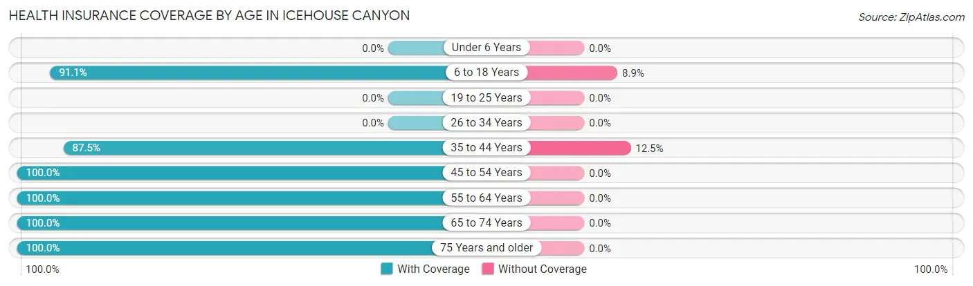 Health Insurance Coverage by Age in Icehouse Canyon