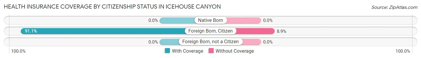 Health Insurance Coverage by Citizenship Status in Icehouse Canyon