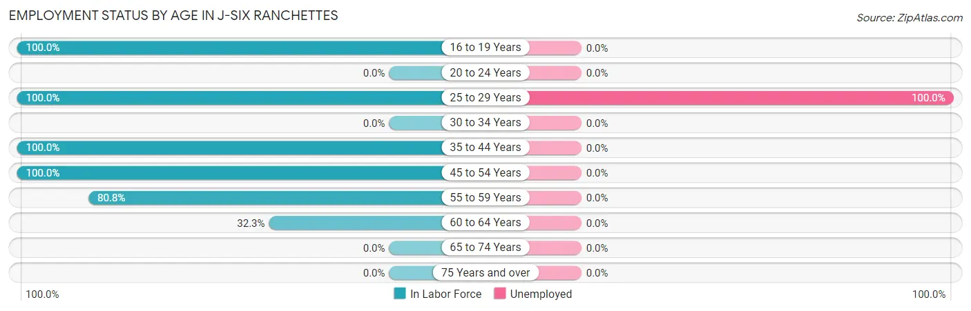 Employment Status by Age in J-Six Ranchettes