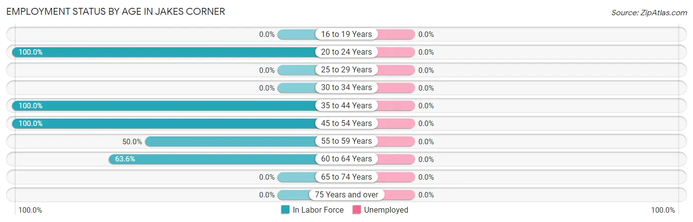 Employment Status by Age in Jakes Corner