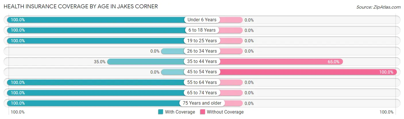 Health Insurance Coverage by Age in Jakes Corner