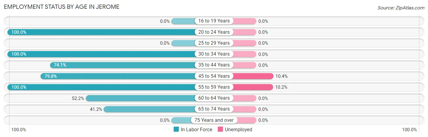 Employment Status by Age in Jerome