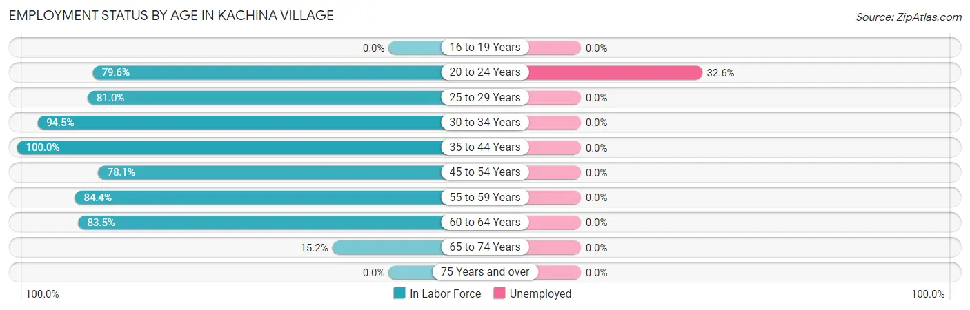 Employment Status by Age in Kachina Village