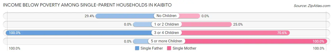 Income Below Poverty Among Single-Parent Households in Kaibito