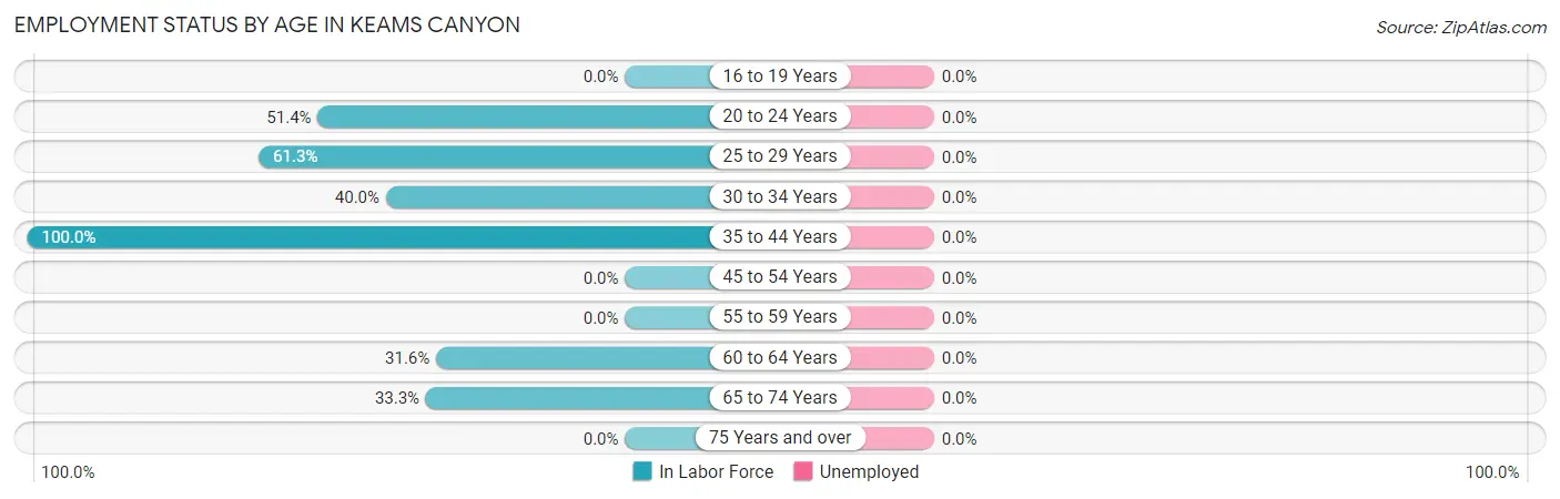 Employment Status by Age in Keams Canyon