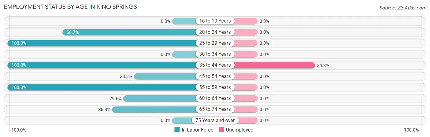 Employment Status by Age in Kino Springs