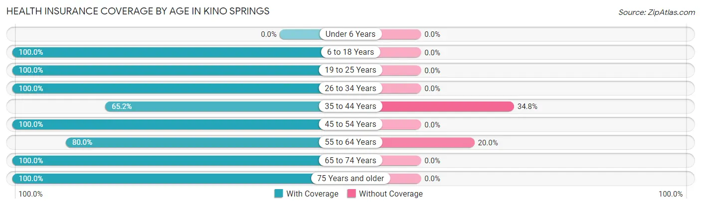 Health Insurance Coverage by Age in Kino Springs