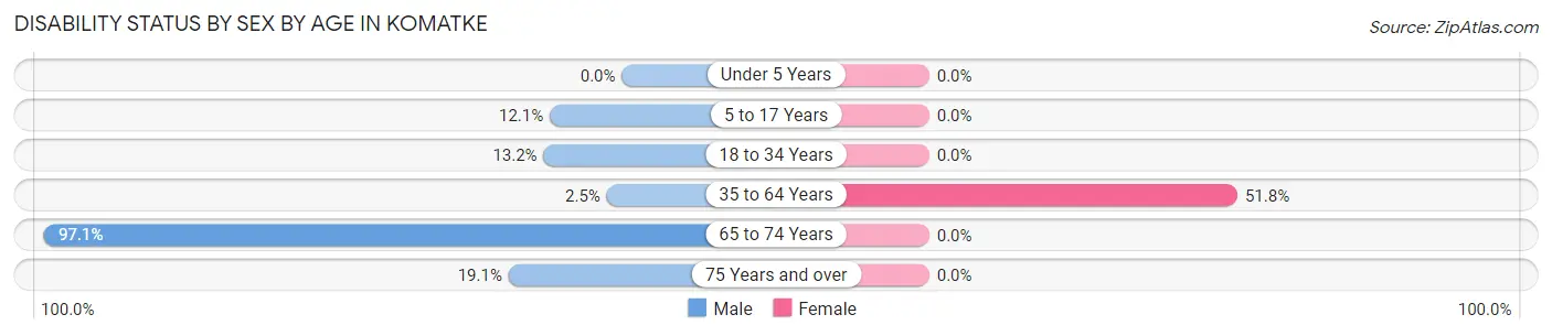 Disability Status by Sex by Age in Komatke