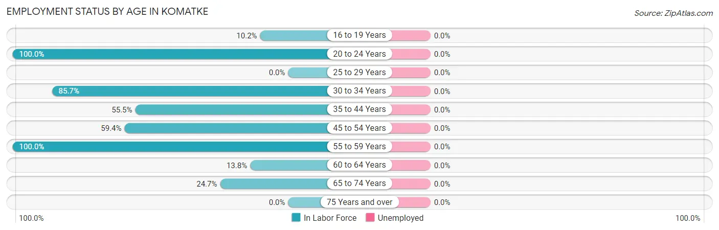 Employment Status by Age in Komatke