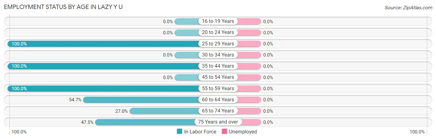 Employment Status by Age in Lazy Y U