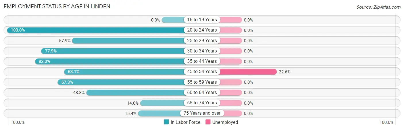 Employment Status by Age in Linden