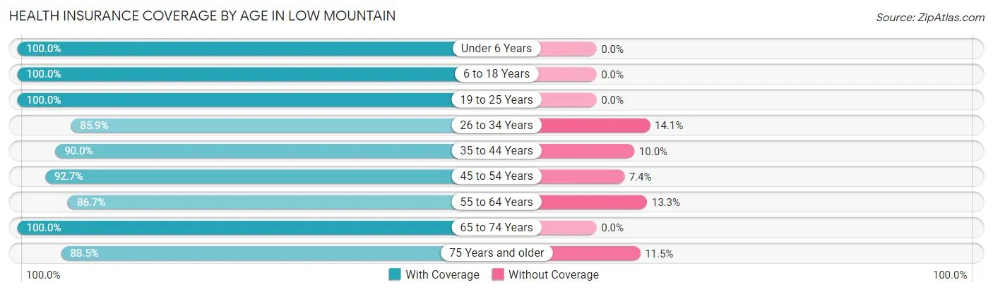 Health Insurance Coverage by Age in Low Mountain