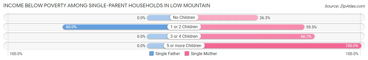 Income Below Poverty Among Single-Parent Households in Low Mountain