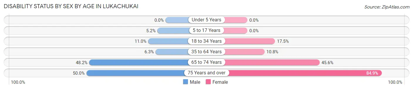 Disability Status by Sex by Age in Lukachukai