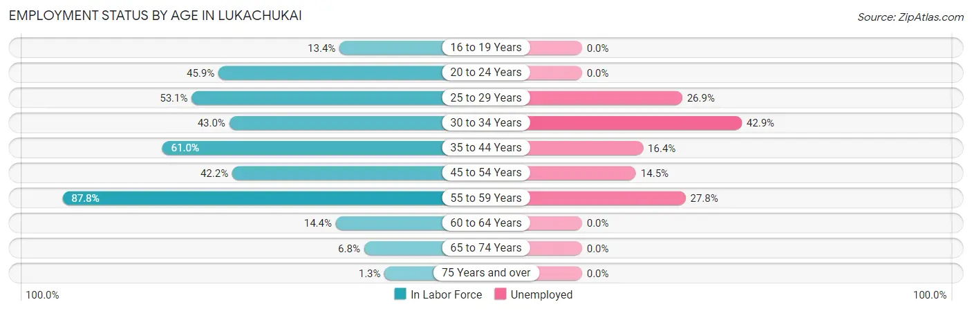 Employment Status by Age in Lukachukai
