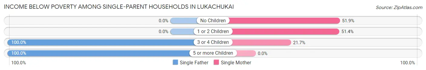 Income Below Poverty Among Single-Parent Households in Lukachukai