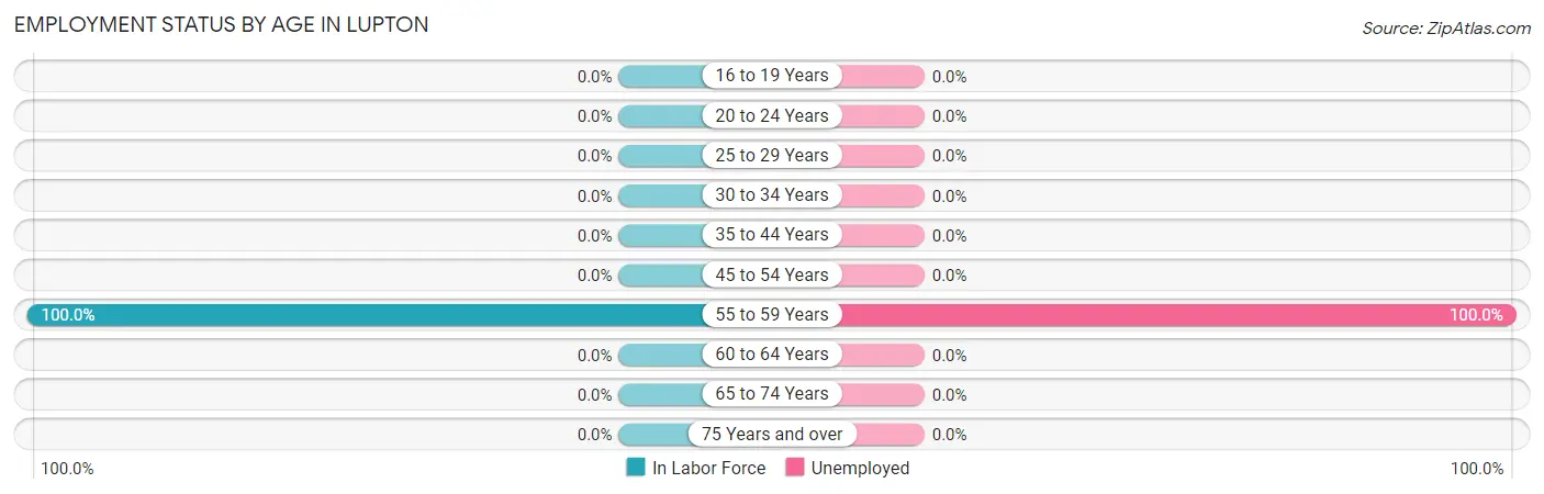 Employment Status by Age in Lupton