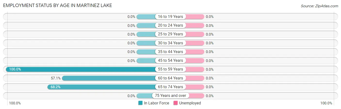 Employment Status by Age in Martinez Lake